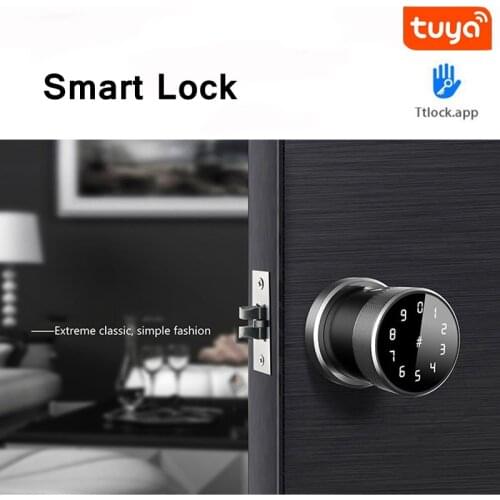 Dropshipping Smart Electronic Lock Tuya TTLock Bluetooth APP Remote Control Fingerprint Storage Password Wooden Door Lock