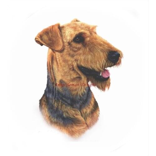 Needlework for Embroidery DIY French DMC Quality Unprinted - Counted Cross Stitch Kits 14 ct Oil painting - Airedale Terrier