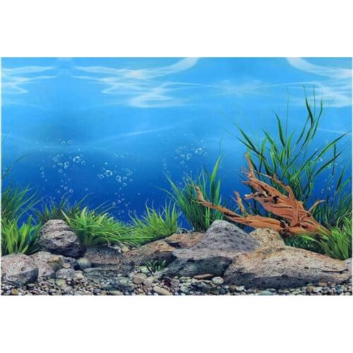 9094 23.3" x 60" Double Sided Fish Tank Poster Sea World / Sea Bed Wood Glossy Wall Decor Aquarium Background