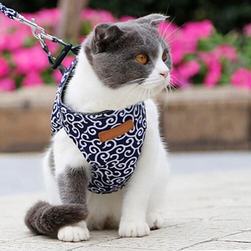 Pet Dog Cat Harness Vest Collar Outdoor Walking Leash Set Harness Small Dog Harness and Leash Set Pet Cat Vest for Outdoor