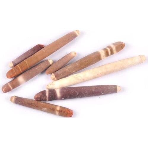 3Pcs Mixed Size Natural Bamboo Seashells For Home Decoration Accessories Seashells DIY Glass Bottle Fish Tank Handmade Crafts