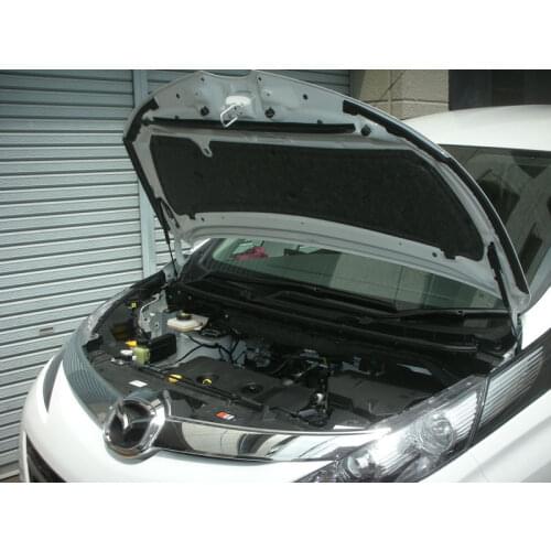 For 2008-2018 Mazda BIANTE CCEFW Mini Van Front Hood Bonnet Gas Struts Lift Support Shock Damper Carbon Fiber