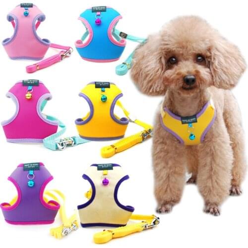 Cute Puppy Cat Harnesses Vest Leather Dog Harness and Leash Set for Chihuahua Pug Small Medium Dog Walking Lead Leash Set