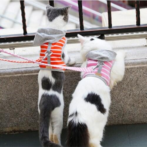 Hoodies Pet Harness Leash Set Velcro Buckle Stripe Dog Harness Filled Sponge Soft Warm Walking Fashion Cat Harnesses Leashes