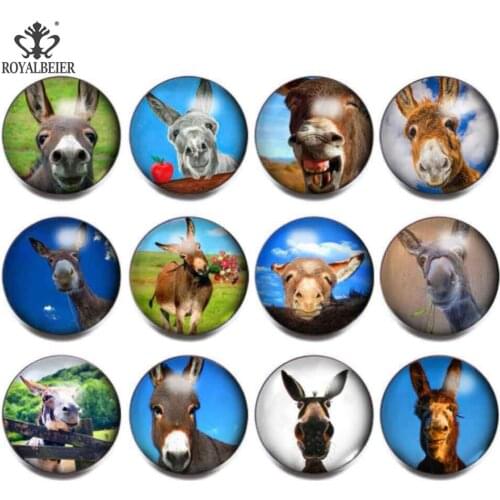 Royalbeier 12pcs/lot Donkey Pattern 18mm Glass Snaps Buttons Mixed Charms For 18mm Glass Beads Snaps Jewelry Bracelet