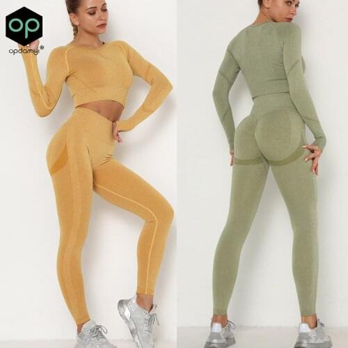 Autumn Womens Seamless Yoga Exercise Fitness Suit Long-Sleeved Top High-Waist Hip-Lifting Female Leggings Gym Womens Tracksuit