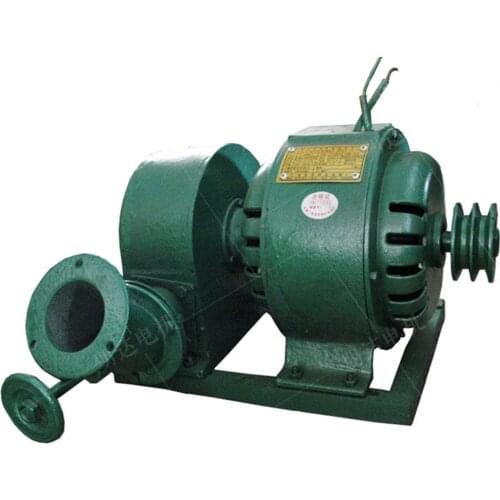 1000w 220V Hydroelectric Generator Single Phase Generator Low Speed Start Permanent Magnet100% Copper Core Wire