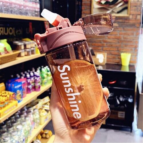 Creative Plastic Cup 430ml 550ml Straw Cup Outdoor Leakproof Portable Water Bottle Male and Female Student Water Cup Adult