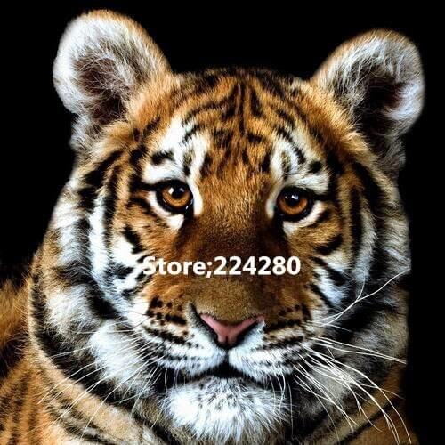 Needlework, Cross stitch,14CT Unprinted for Bricolage Embroidery kits Animal Tiger Art Cross-Stitching,set DIY Handmade decor