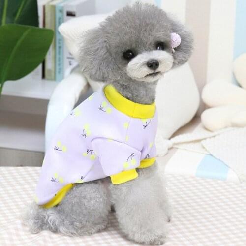 New Cartoon Pet Clothes Autumn Winter Two-legged Sweater Comfortable and Warm Dog Coat Jacket Small Dog Clothes Dog Shirt