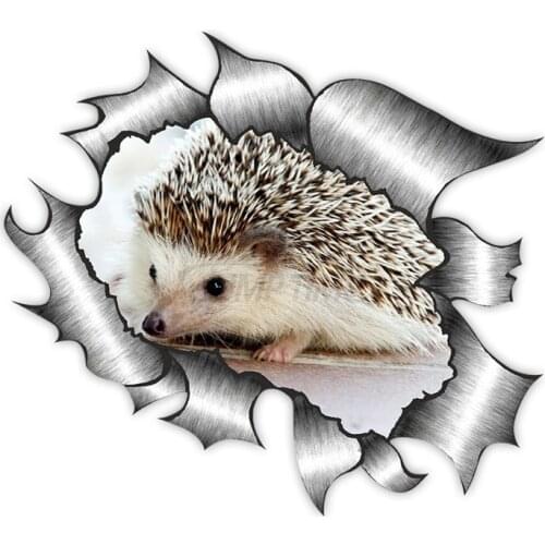 Creative Ripped Metal Design with Cute Hedgehog Car Sticker Accessories Motorcycle Waterproof Car Window Decal PVC