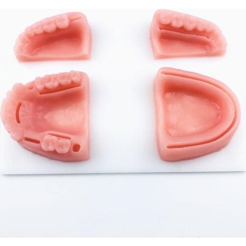 Pratice tools Dental Oral/Gum suture training module silicone periodontitis suture teeth model