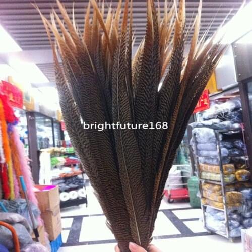 Wholesale! 100 pcs beautiful natural golden pheasant tail feathers 50-55cm /20-22inche
