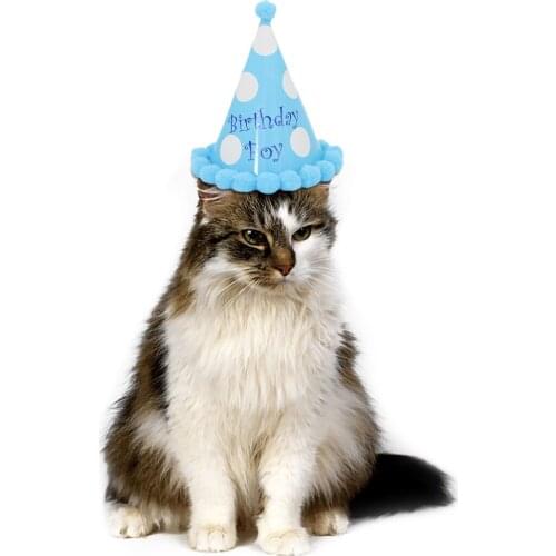 New Dogs Caps Cute Dots Sequins Bowknot Headwear Elastic Costume Birthday Wedding Party Headband Decor Pet Cat Hat Accessory