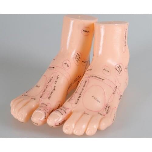 19cm Foot reflex zone massage model, not acupuncture model, Chinese and English code TCM Feet Reflexology, 2pcs=1 pair