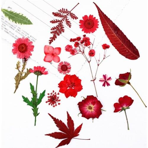10 Pack Pressed Flower Red flower Material Pack Dried Flower Embossed Real Flower Petal Makeup Face DIY Decoration