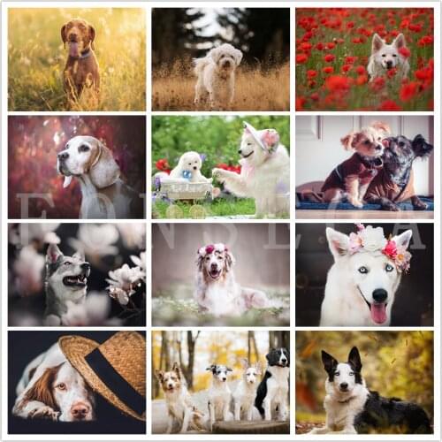 Full Square/round Drill 5D Diy Cute Dog Diamond Painting Animal Mosaic Painting Embroidery Cross Stitch Kits Home Decoration