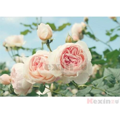 Kexinzu Full 5D DIY Square/Round Drill Diamond Painting "Flower" 3d Diamond Embroidery Mosaic Cross Stitch Decor Gift KD57