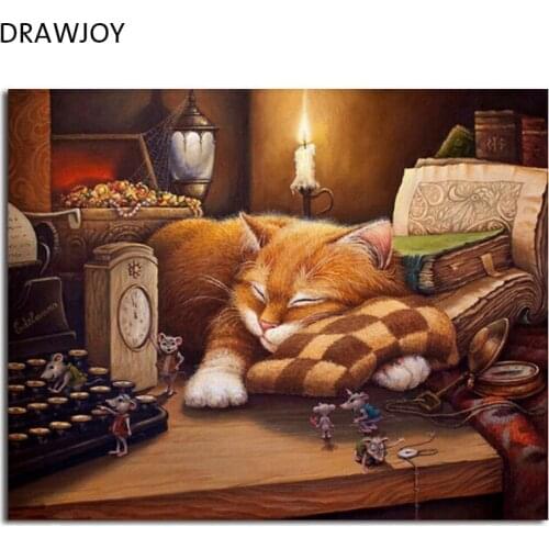 DRAWJOY Framed Picture Painting & Calligraphy Of Loely Cat DIY Painting By Numbers Coloring By Numbers GX22065 40*50cm