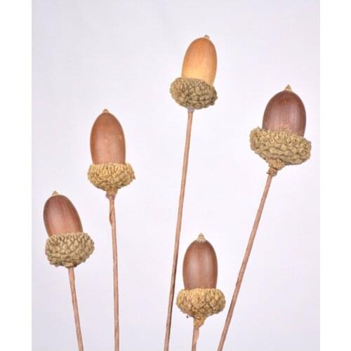 Natural acorn berries dried flower dried fruit arrangement wild acorn Artificial dried flowers home Christmas holiday decoration