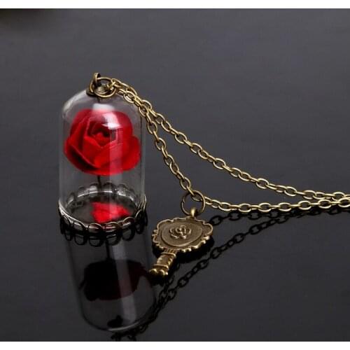 Women Romantic Dried Flowers Glass Bronze Long Chain Beauty and Beast Necklaces