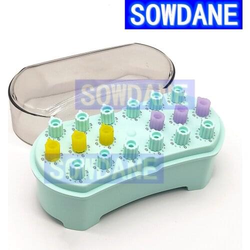 Dental Disinfection Box Sterilized Case Disinfection Boxes Endo Root Canal Files Holder With Count Counting Autoclavable