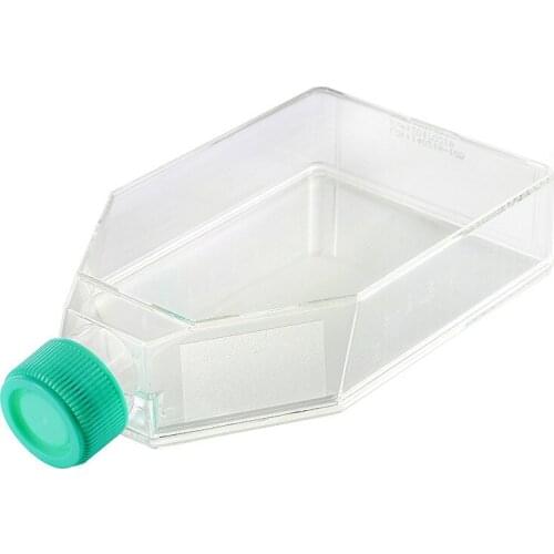 Cell and Tissue Culture Flask Canted Neck Flasks 25ml STandard Surface Treated Cell Growth Area 12.5cm2 Sterilized Package 10/PK