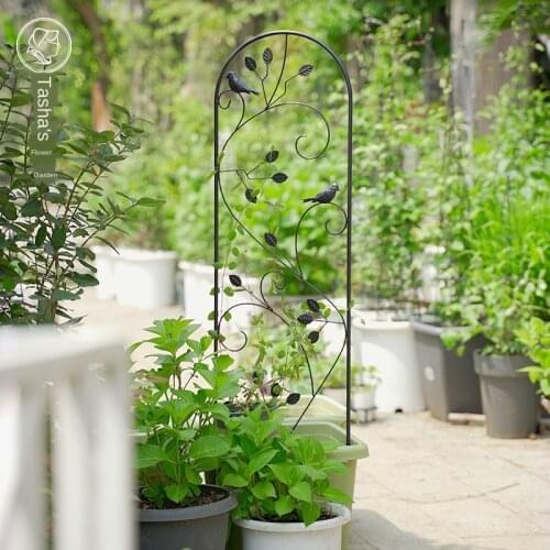 Wrought iron rattan stand rose clematis fruit and vegetable climbing plant flower stand courtyard stand