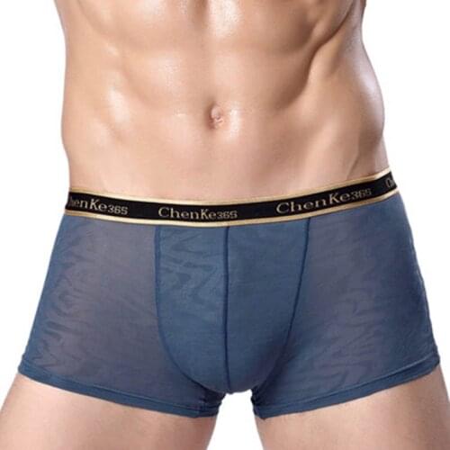 Mens Boxer Sexy Printed Underwear Transparent See Through Shorts Male Panties Penis Gay Underpants Soft Cueca Gift for Male