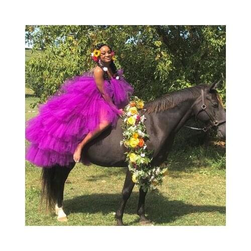 2020 Fashion High Low Tulle Skirts Ruffle Puffy Tulle Elastic Waist Maxi Tiered Tulle Skirt Girls Birthday Party Long Skirts