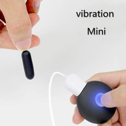 Rechargeable Vibrating Bullet Egg G spot Vibrator Clitoris Massage Anal Vagina Pussy Urethra Stimulation Sex Toys For Women Men