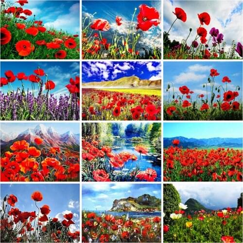Evershine Diamond Painting Poppy Flowers 5D DIY Diamond Embroidery Full Square Round Drill Cross Stitch Kit Home Decoration