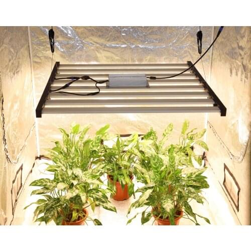 Phytolamps For Plants PHLIZON China