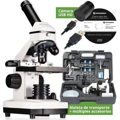 Bresser Running Shoes