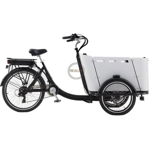Home Use Cargo Bike for Carry Children 4 Seats Electric Tricycle Mobile Express Delivery Cart