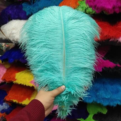 Wholesale 10pcs Blue Green Natural Ostrich Feathers 25-30cm/10-12 inch Wedding Party Christmas Home Craft Accessories Decoration