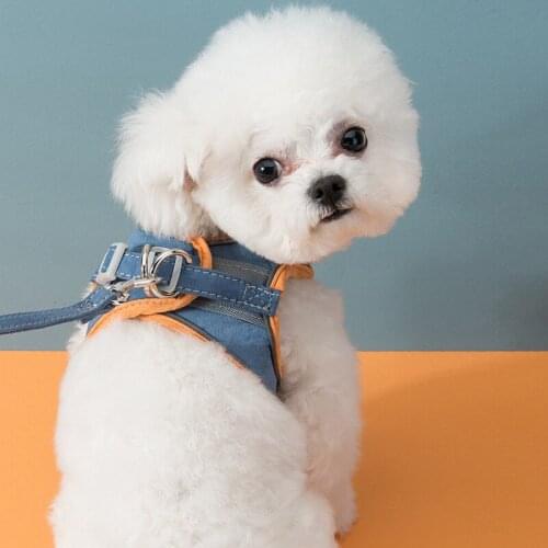 Padded Small Dog Collar and Leash Set Cat Dog Vest Harnesses Leash Vest Pet Chest Strap Reflective Breathable Walking Cat Rope