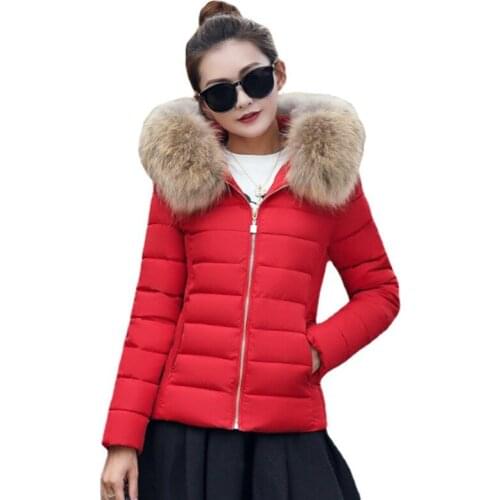 2021 New Short Winter Jackets High quality Casual Women Parkas Small Padded Jacket Large Fur Collar Female Coats Slim Outwear