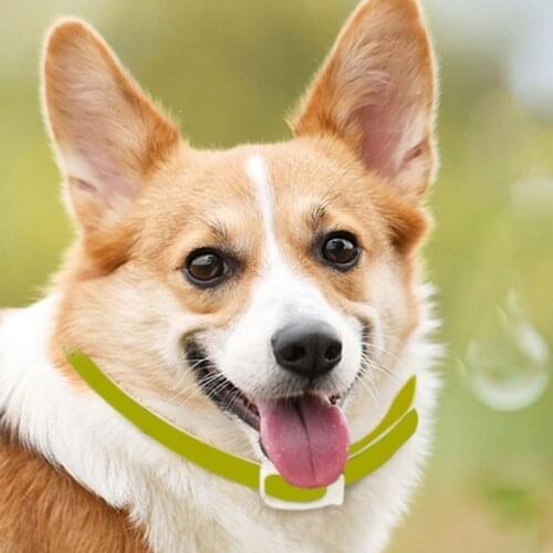 High Quality Flea Collar for Dogs Pets Anti Flea Tick Collar For Puppy Dog Flea Collar Prevention Orange Lemon Flavor Pet Suppli