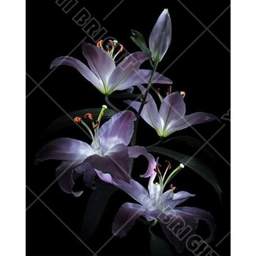 Diamond embroidery lily flowers diy diamond painting 3d square diamond mosaic handcraft bead embroidery full rhineston YH