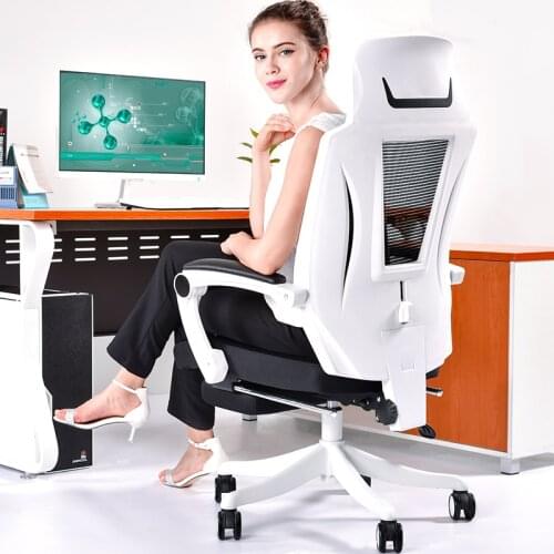 Leisure gaming chair metalic Chair Lifted Rotated Multi-function Office Household Reclining Computer Chair with Footrest chaise