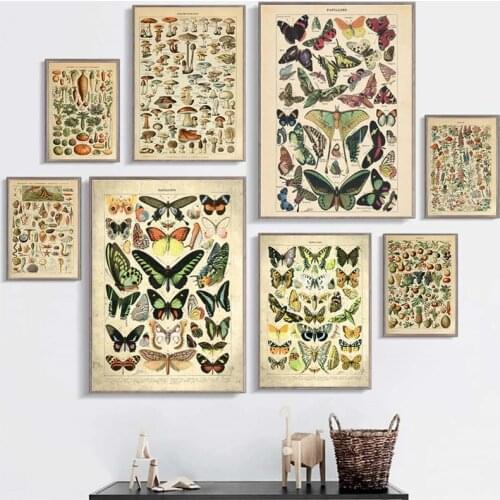 Vintage Vegetable Fruit Mushroom Poster Print Antique Wall Art Print Botanical Picture Science Poster Kraft paper