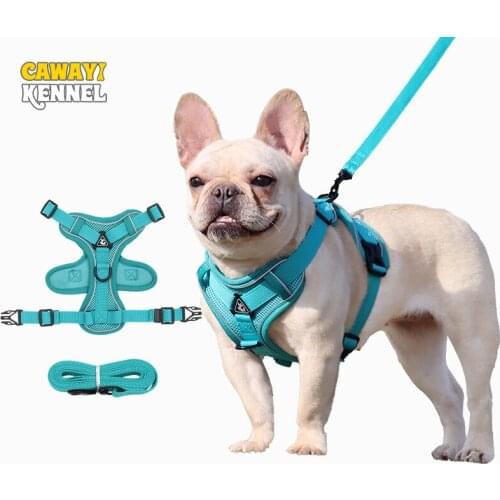 Cawayi Kennel Harnesses