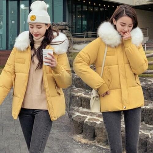 Cheap wholesale 2019 new autumn winter selling womens fashion netred casual warm jacket female bisic coats FP5100