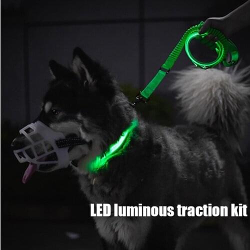 TONGYUE Leashes For Dogs