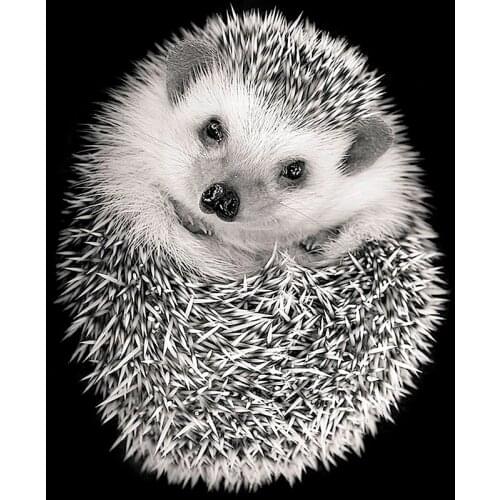 Full Square/Round Drill Diamond Painting "Animal Hedgehog" DIY Picture of Rhinestone 5D Diamond Embroidery Cross Stitch Decor