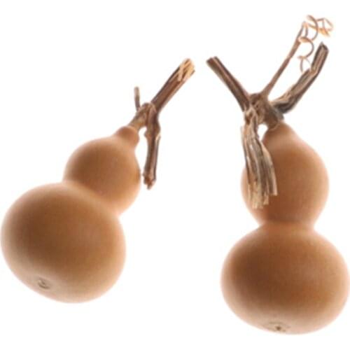 2018 New 2pcs Natural Random Dry Gourd Crafts Arts Collection Mini Bottle Gourd Dried DIY Doodle Carving Hanging Gift Toys