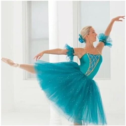 2018 woman New ballet dress Professional adult ballet dance yarn skirt tutu fluffy skirt Swan Lake adult ballet costume