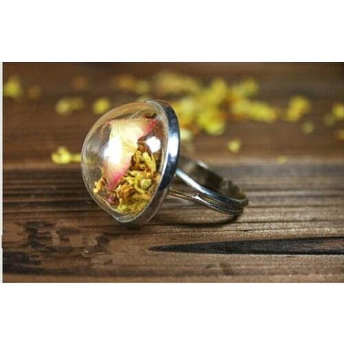 20sets/lot half round ball 18mm Glass Bubble globe glass dome 18mm silver plated Ring tray glass dome cover jewelry findings