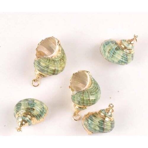 5pcs About 20mm Green Spiral Seashells For Craft Home Decor DIY Jewelry Gold Plated Natural Shell Charms Handmade Pendant TR0300
